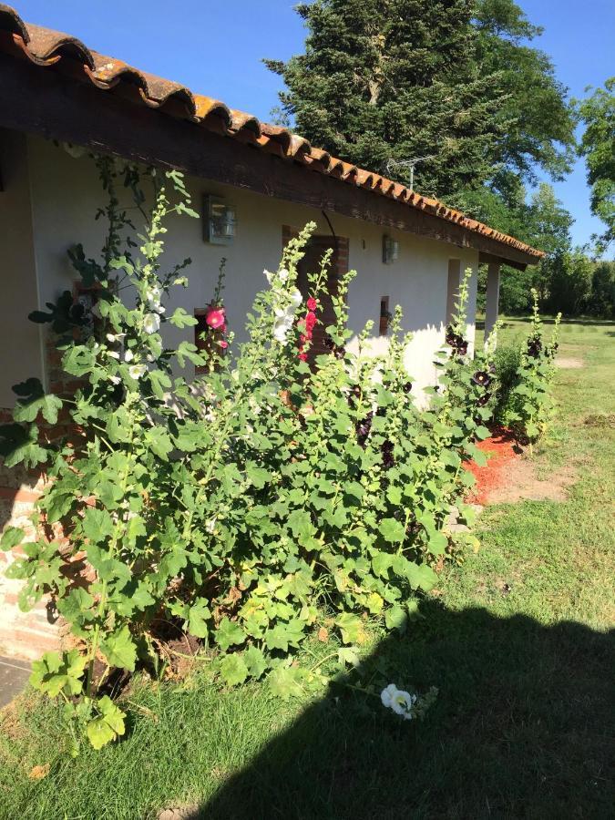 Location Gite 4 Personnes Mazeres - La Petite Maison Exterior foto